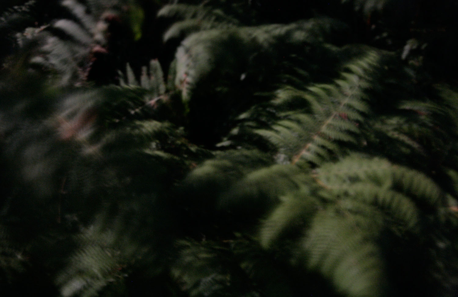 Matthias Müller Photography