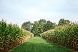 Matthias Müller Photography