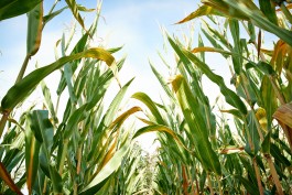 Matthias Müller Photography