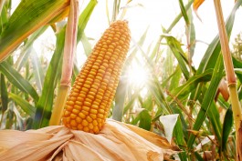 Matthias Müller Photography