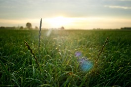 Matthias Müller Photography