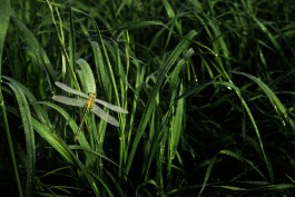 Matthias Müller Photography