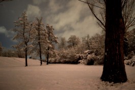 Matthias Müller Photography