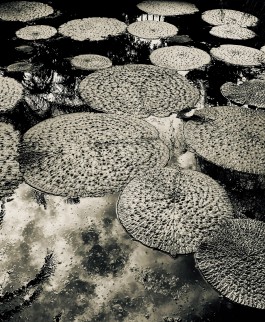 Matthias Müller Photography