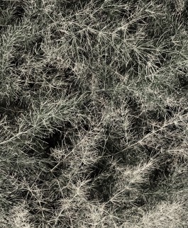 Matthias Müller Photography