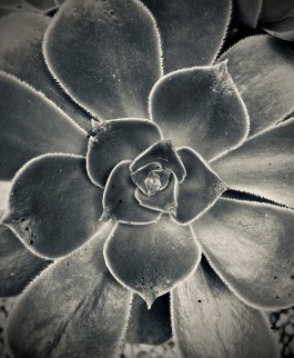 Matthias Müller Photography