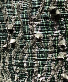 Matthias Müller Photography