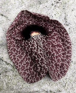 Matthias Müller Photography