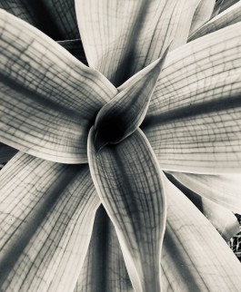 Matthias Müller Photography