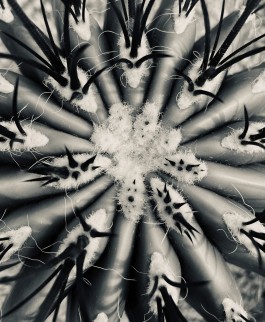 Matthias Müller Photography