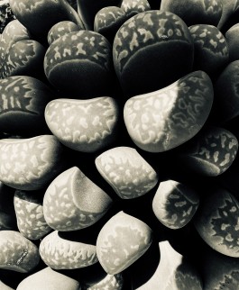 Matthias Müller Photography