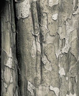 Matthias Müller Photography