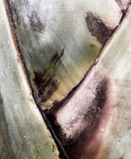 Matthias Müller Photography