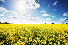 Matthias Müller Photography