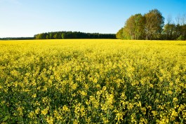 Matthias Müller Photography