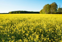 Matthias Müller Photography