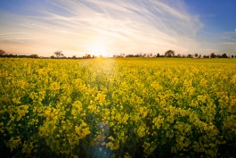 Matthias Müller Photography