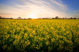 Matthias Müller Photography