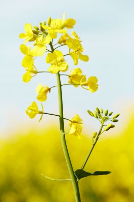 Matthias Müller Photography