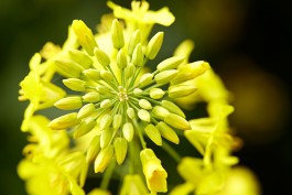 Matthias Müller Photography