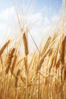 Matthias Müller Photography