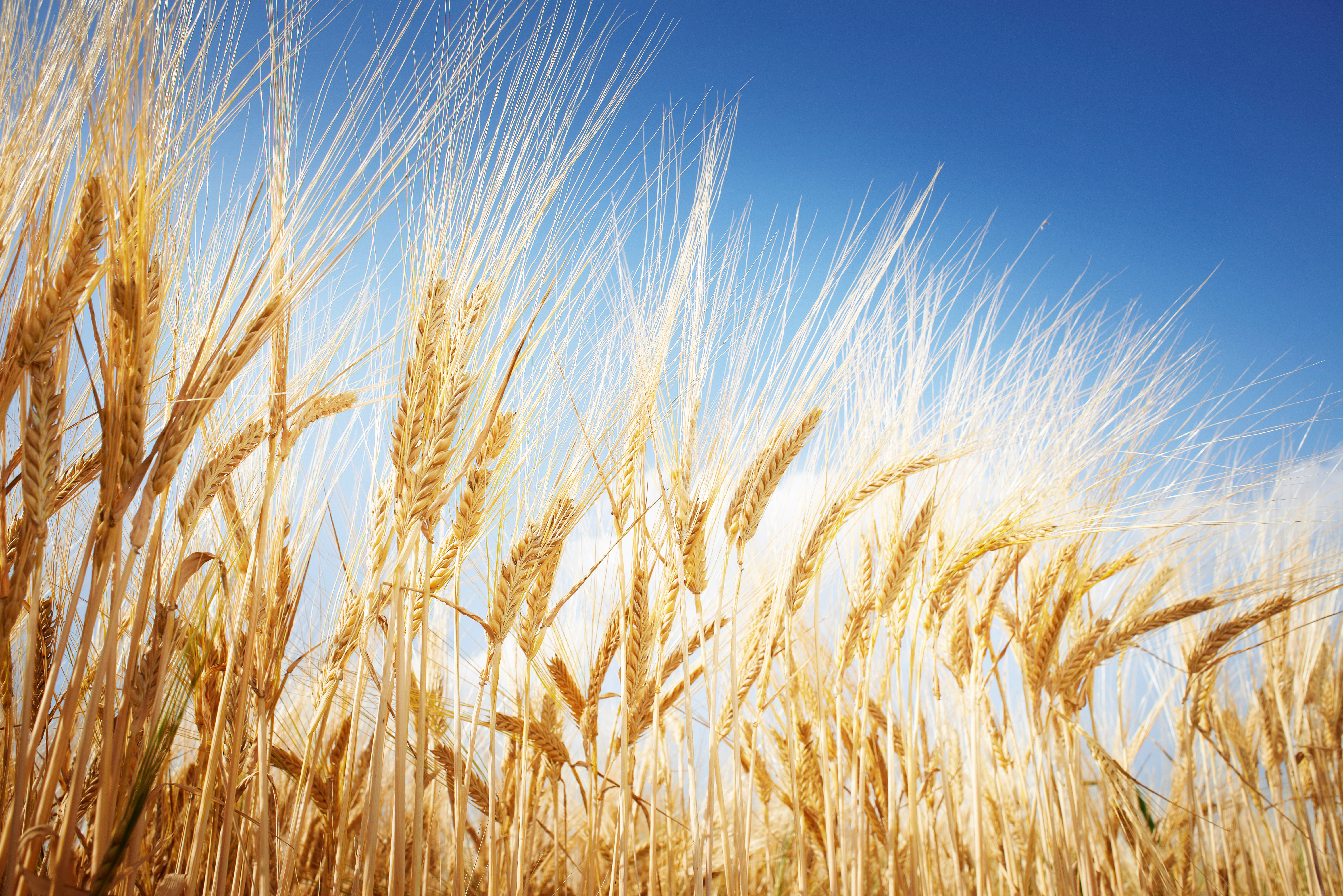 Matthias Müller Photography