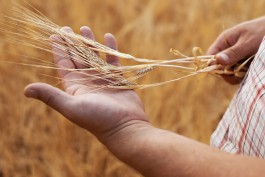 Matthias Müller Photography