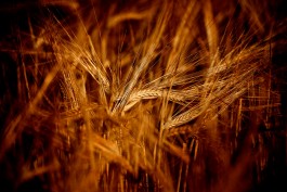 Matthias Müller Photography