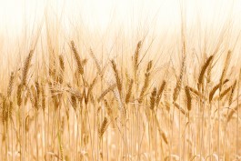 Matthias Müller Photography