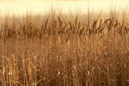 Matthias Müller Photography