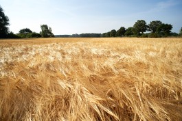 Matthias Müller Photography